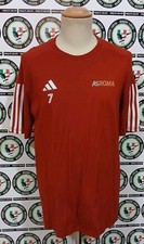 Pellegrini shirt match usato  Italia