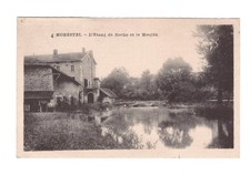 roche usato  Milano