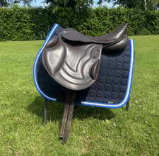 17.5 premier equine for sale  LONDONDERRY