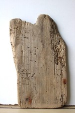Treibholz schwemmholz driftwoo gebraucht kaufen  Halblech