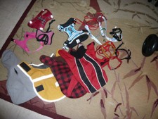 leash coat collar dog for sale leash coat collar dog for sale Sacramento