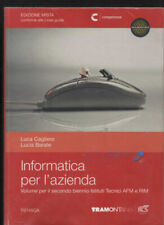 Informatica per azienda usato  Torino