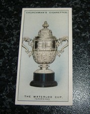 Churchman sporting trophies for sale  LEIGHTON BUZZARD