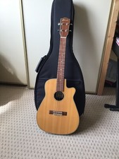 Clearwater electro acoustic for sale  LYMINGTON