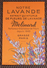 Carte parfumée molinard d'occasion  Dammarie