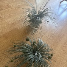 Pack small fake for sale  Overland Park