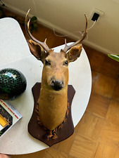 Authentic vintage deer for sale  Arlington