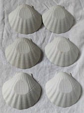 Coquilles saint jacques d'occasion  Concarneau