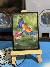 Life tcg birds for sale  NORWICH