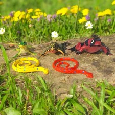 Vintage reptile amphibian for sale  Rembert
