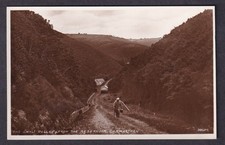 Wales carmarthen gwili for sale  HAVERFORDWEST