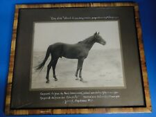 Photographie ancienne cheval d'occasion  Amboise