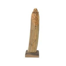13.25 chinese cypress for sale  San Mateo