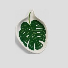 Caroline gardner monstera for sale  WINCHESTER