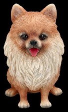 Hundefigur zwergspitz pomerani gebraucht kaufen  Hallbergmoos