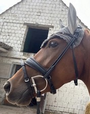 Ivy trense new gebraucht kaufen  Arnstadt