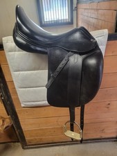 Revised amerigo dressage for sale  Fairbanks