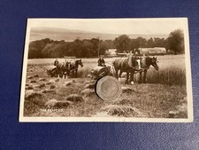 Rppc shire horse for sale  CORSHAM