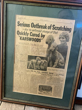 Antique bedlington terrier for sale  BIRMINGHAM