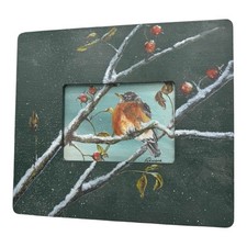 Winter robin framed for sale  South Bend