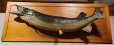 Vintage 1950s real for sale  Fond Du Lac