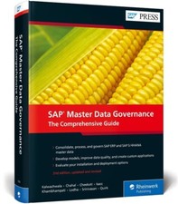 Sap master data gebraucht kaufen  Laufenburg (Baden)