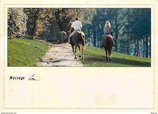 Animaux chevaux promenade d'occasion  Fruges