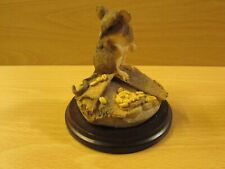 Nice teviotdale mounted for sale  TURRIFF