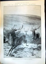 Old 1899 devon for sale  UK