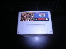 Super Nintendo SNES - Donkey Kong Country 2 - apenas carrinho comprar usado  Enviando para Brazil