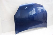 Motorhaube pel vectra gebraucht kaufen  Wittenburg