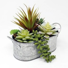 plantadeira comprar usado plantadeira comprar usado  Enviando para Brazil