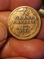 Splendida grano cavalli usato  Roma