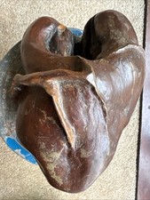 Vintage unusual natural for sale  BRIGHTON