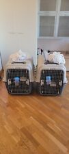 Kennel cane iata usato  Milano