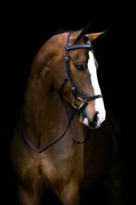 Horseware rambo micklem gebraucht kaufen  Senden