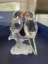 parakeet pair for sale  Fitchburg