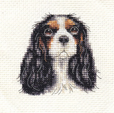 Tri cavalier king for sale  LEICESTER