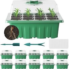 Pack holes seed for sale  STOCKPORT