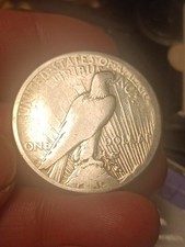 Usa dollaro 1923 usato  Roma