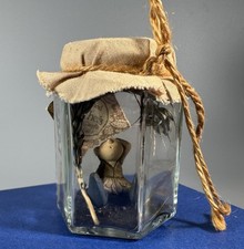 Freshly caught fairy for sale  BEXLEY