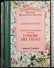 Romanzo ferrara libro usato  Ariccia