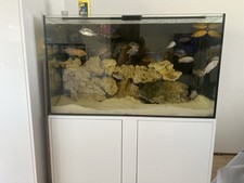 Fish tank aquarium for sale  STANFORD-LE-HOPE