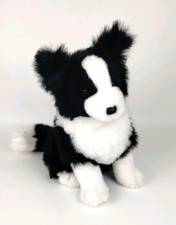 Belle border collie for sale  Warren
