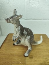 kangaroo animals for sale kangaroo animals for sale WIGSTON