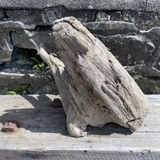 Large driftwood piece for sale  BRIDGEND