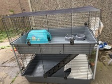 Indoor rabbit guinea for sale  NOTTINGHAM