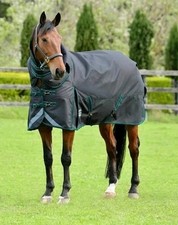 Weatherbeeta comfitech freesty for sale  Katy
