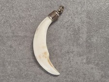 Anhänger zahn wildschwein gebraucht kaufen Anhänger zahn wildschwein gebraucht kaufen  Weinböhla