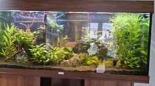 Fish tank for sale  UK